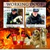 Фауна Пожарные собаки